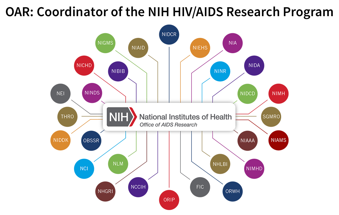 A diagram that shows the relationship between the NIH Office of AIDS Research and the NIH Institutes, Centers, and Offices that support HIV/AIDS research. The Office of AIDS Research logo appears in the center of the diagram and is connected by lines to 28 multicolored small circles that surround the Office of AIDS Research logo. Each circle represents a different Institute, Center, or Office and contains the abbreviation for the Institute, Center, or Office. 