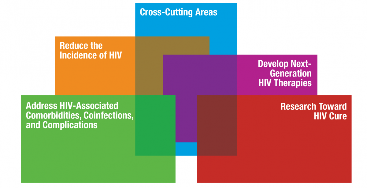 NIH HIV Research Priorities