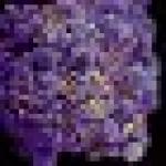 New Insights into HIV Latent Cells Yield Potential Cure Targets