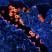 blue cells